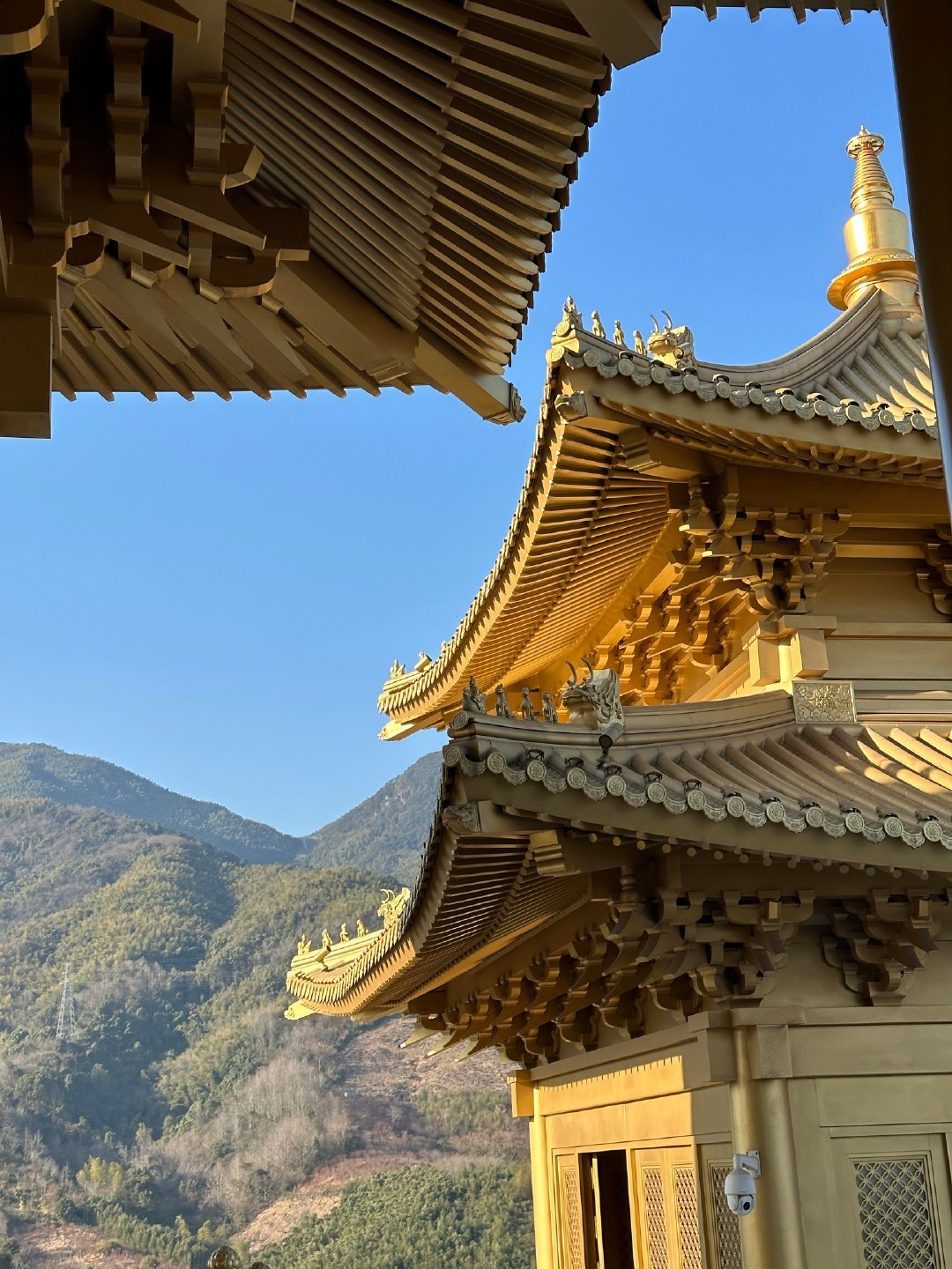 大年初一，新年快乐 大概有一半宁波人在弥勒圣坛  成功挤上。⚠️宁波人的优惠价格