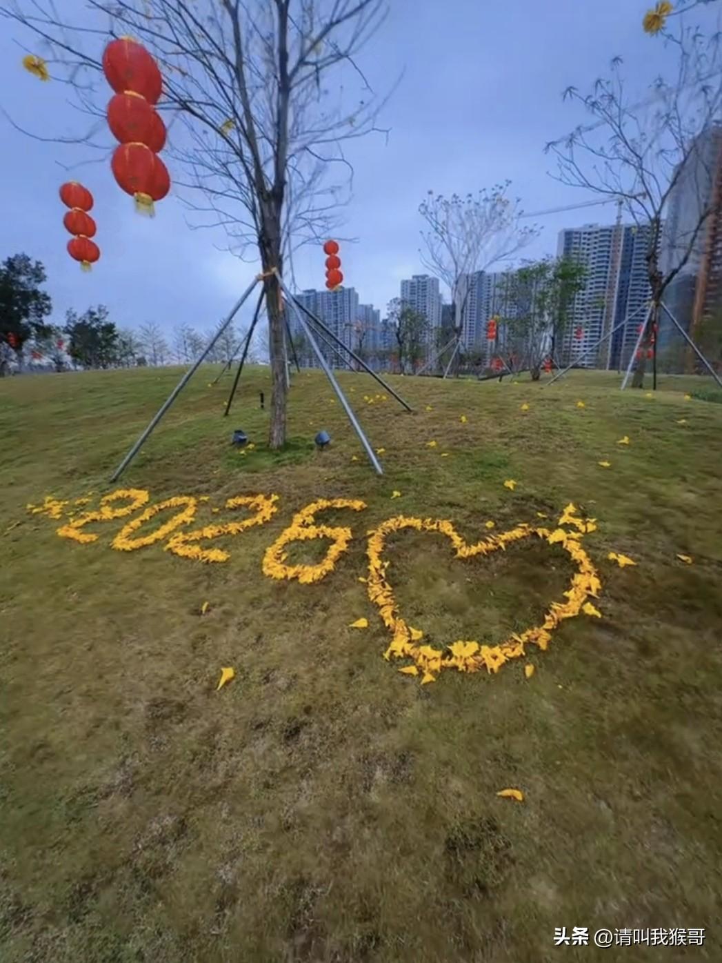 来自深圳人对春天的木棉花的挚爱