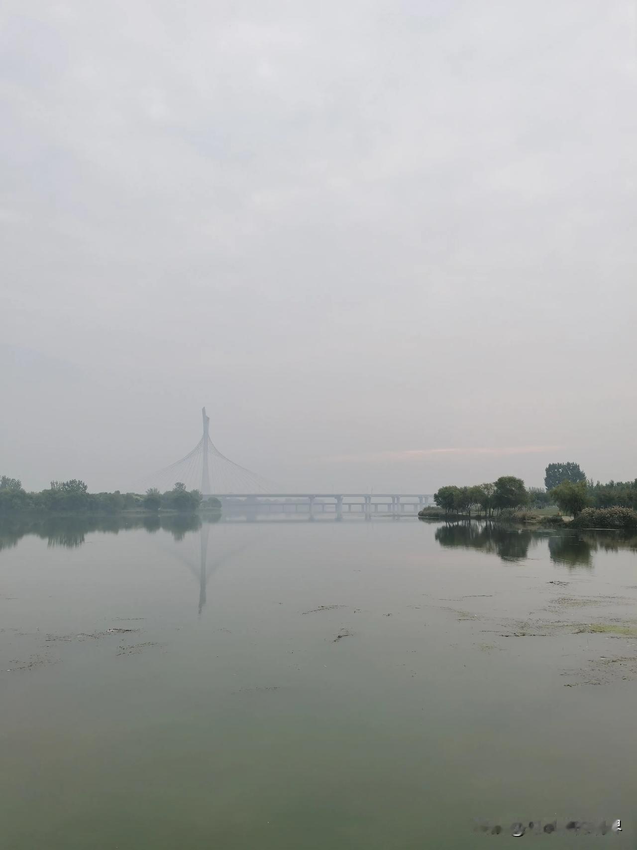 坐标石家庄滹沱河畔，拍照网红桥朦胧的美


