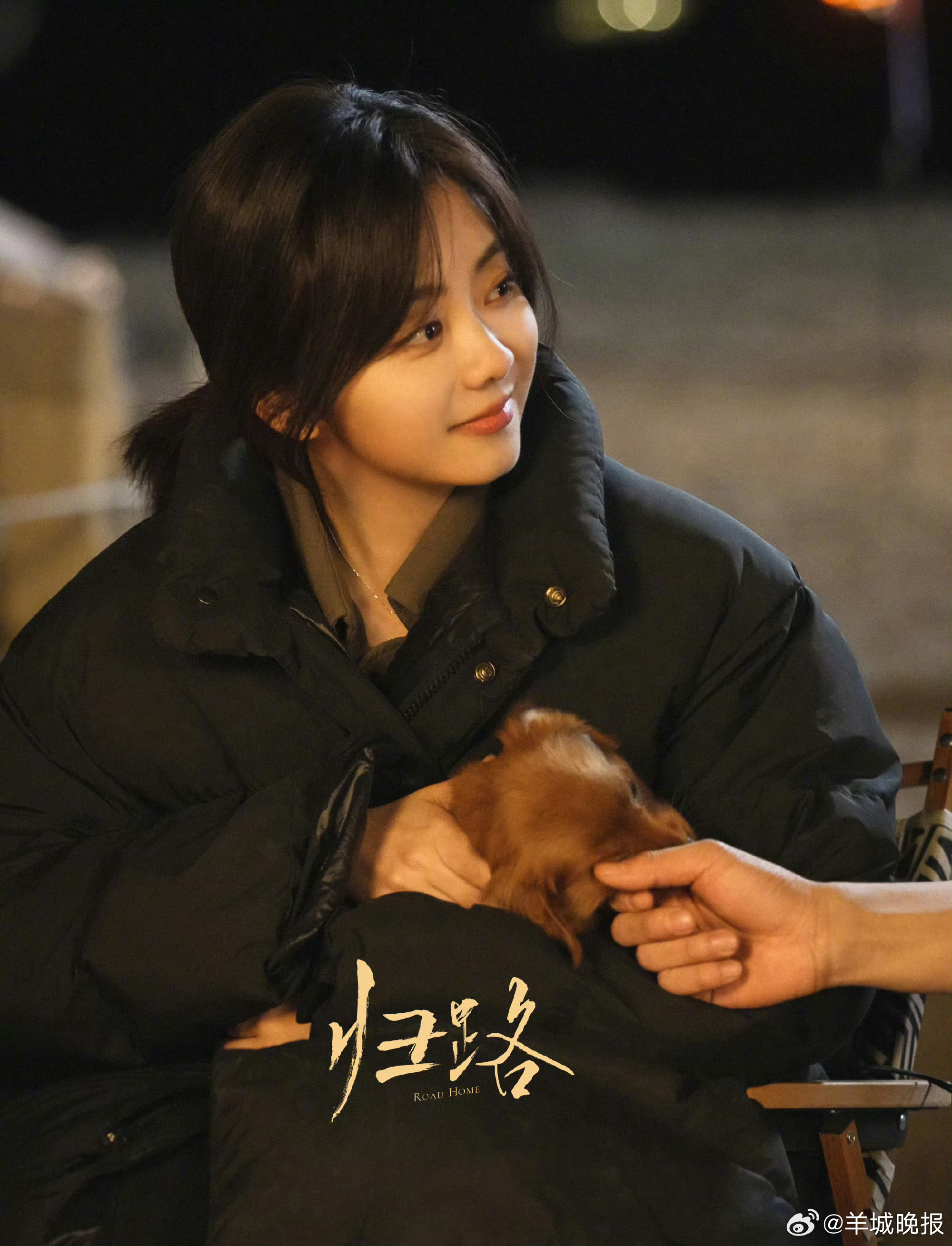 【哪部剧中的宠物可可爱爱】电视剧中的小宠物经常在线卖萌，让动物星人集体沦陷。哪部