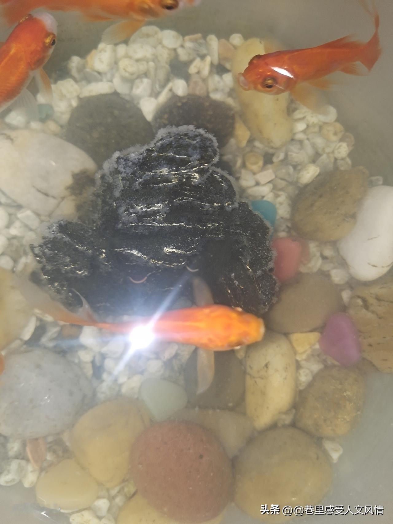 “慢生活”不是懒，是清醒的自我投资。我们总在追赶，却忘了为何出发。偶尔按下暂停键