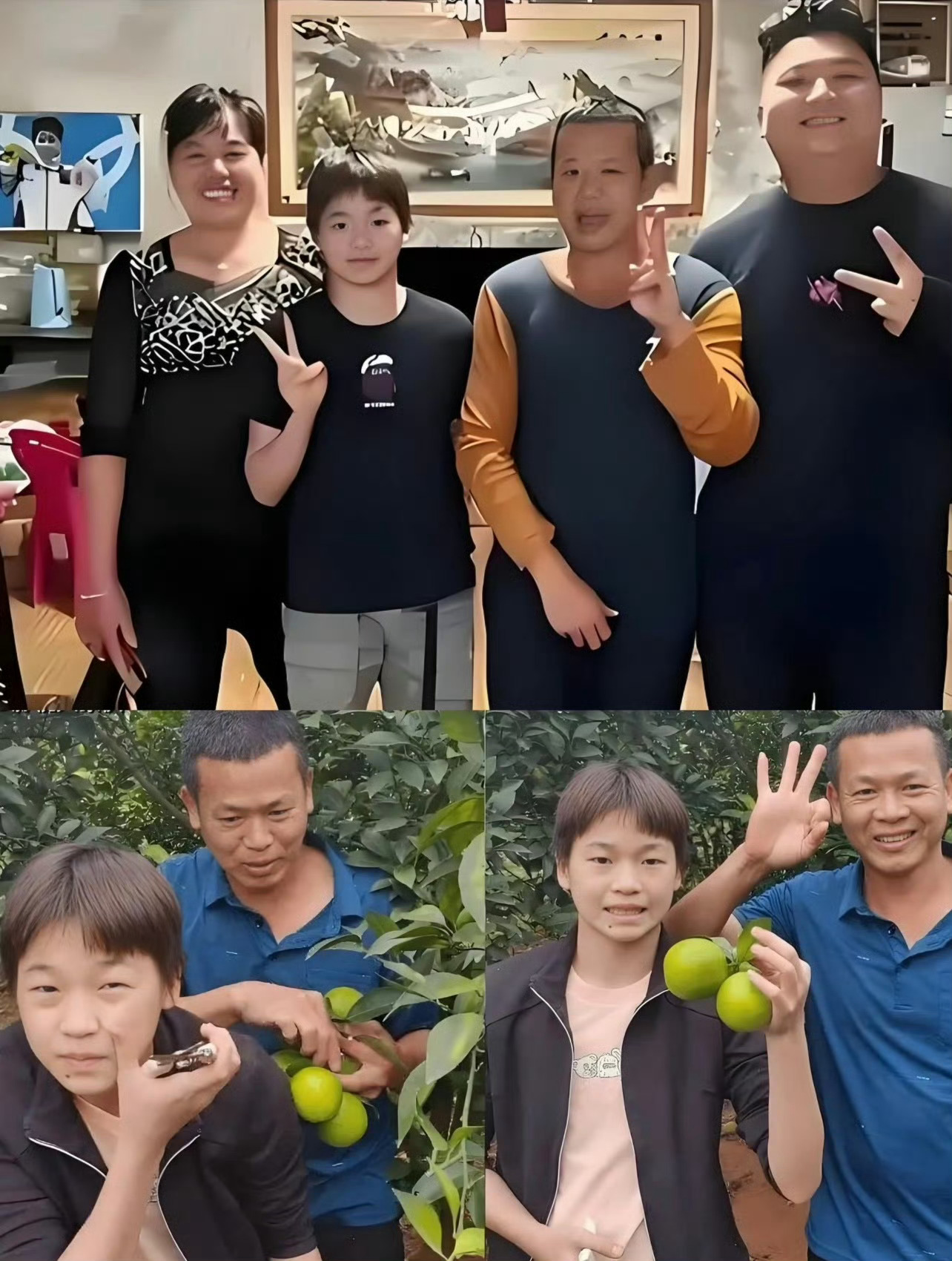 全红婵全家搬去偏僻果园住，全红婵母亲解释说因为访客太多了，担心说错话给女儿带来麻