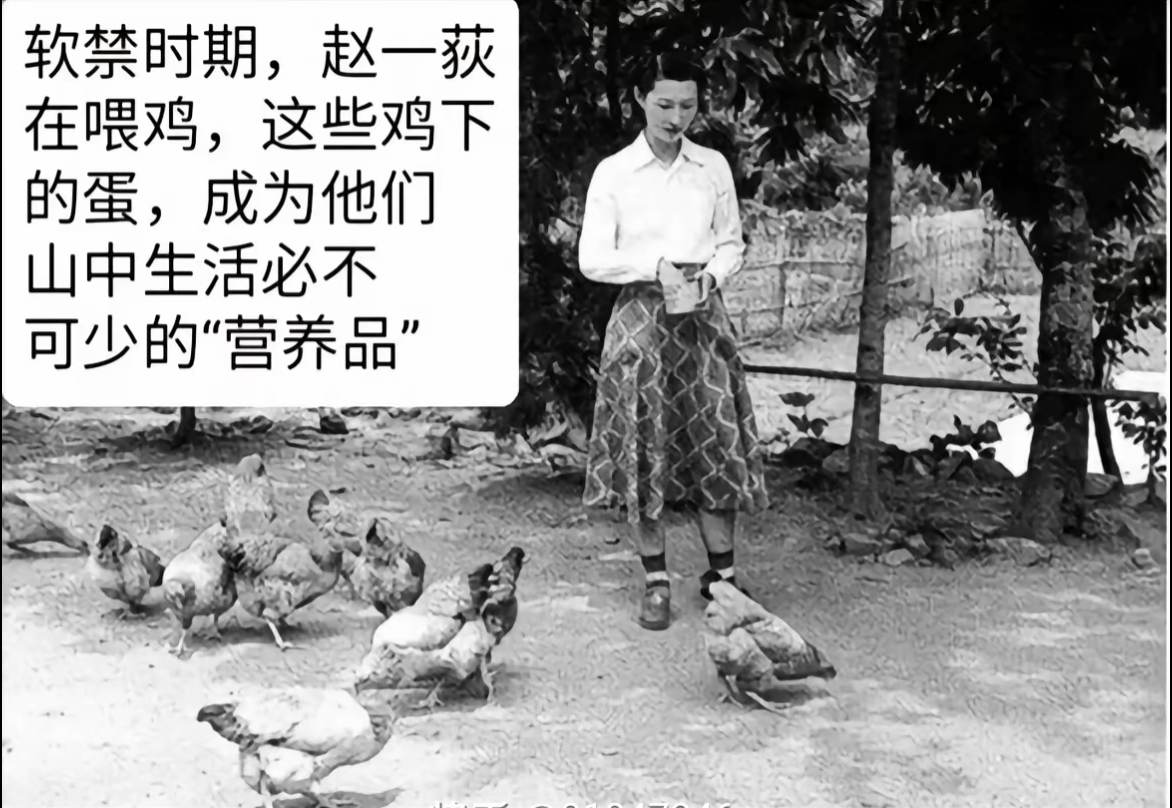 人物故事 赵一荻
