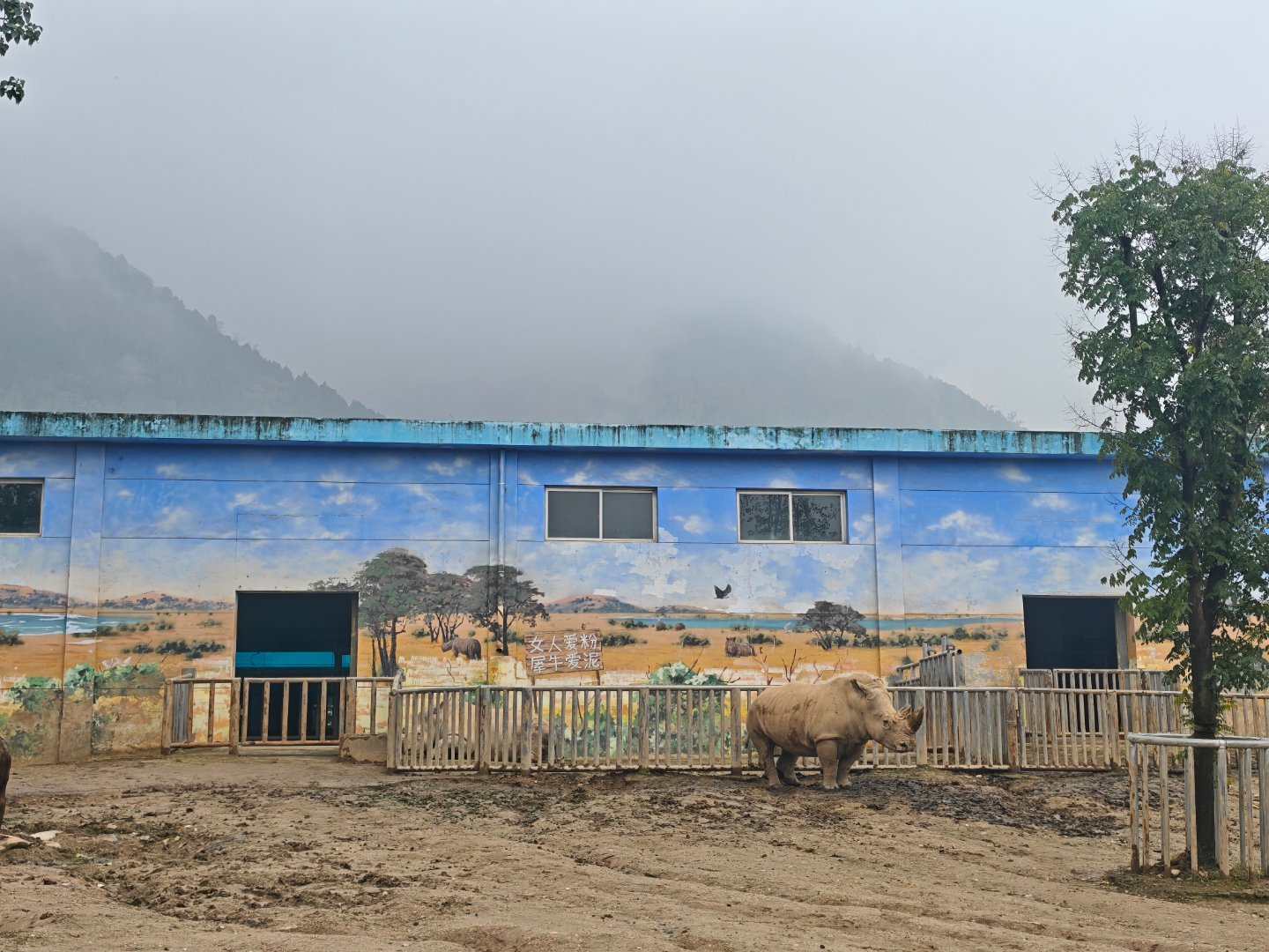 秦岭壮美，犀牛威武。 ​​​