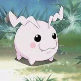 幻热聊体育