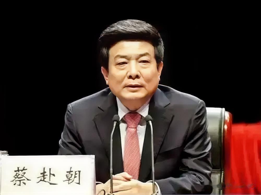 打虎！75岁正部级蔡赴朝被查！
这是入伏后的第一位正部级干部，他的特征是一位退休