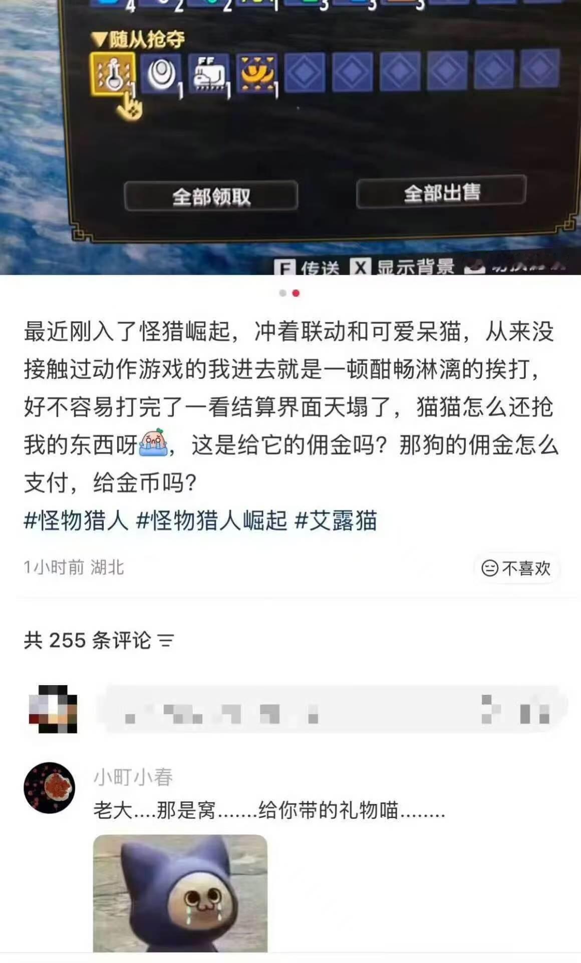 给呆猫道歉！ 