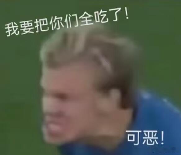 为什么我们看见哈兰德就想笑得了一种看见哈兰德就想笑的病，内含表情包还没看世界杯挪