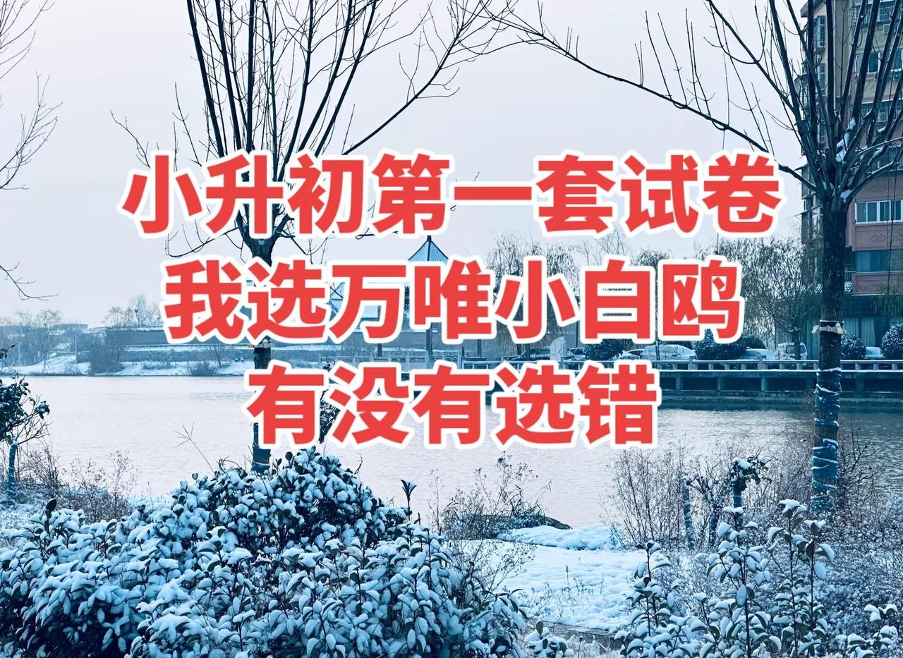 小升初 家长必读 我的男孩