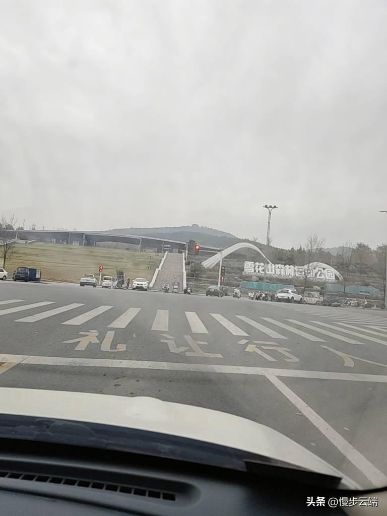 透过前挡风玻璃望出去，灰蒙蒙的天裹着雪花山森林公园的轮廓，连远处的矮丘都浸在浅白