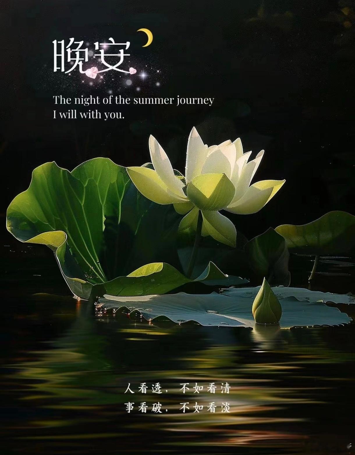 静谧时刻-享受独处时的宁静与安稳。夜深了，世界静了，心也安了。晚风吻尽荷花叶，任