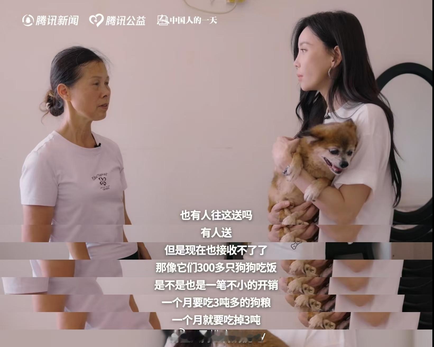 于文文于文文呼吁不要残忍抛弃宠物 对于救助站的志愿者来说，最开心的瞬间莫过于“进