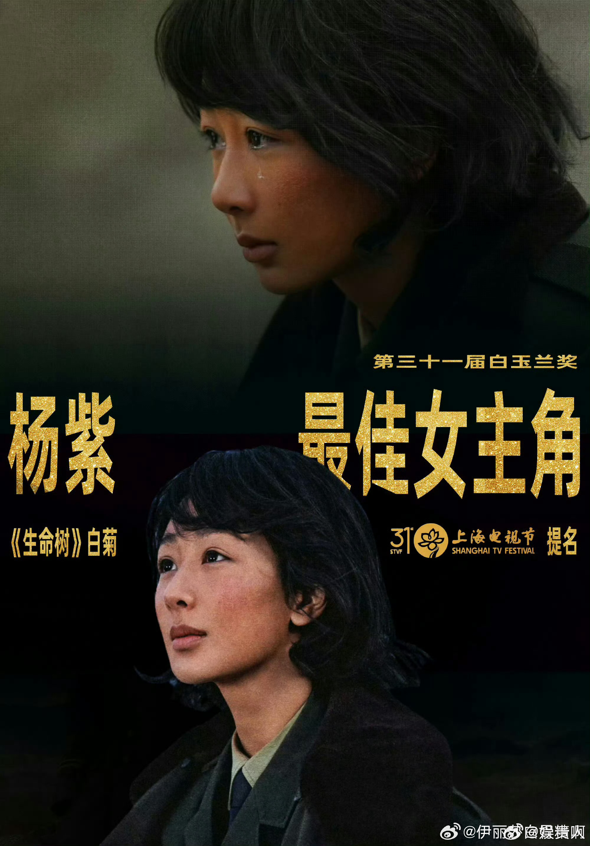 杨紫史上首位90花白玉兰视后 杨紫史上首位90后白玉兰视后 史上首位90后白玉兰