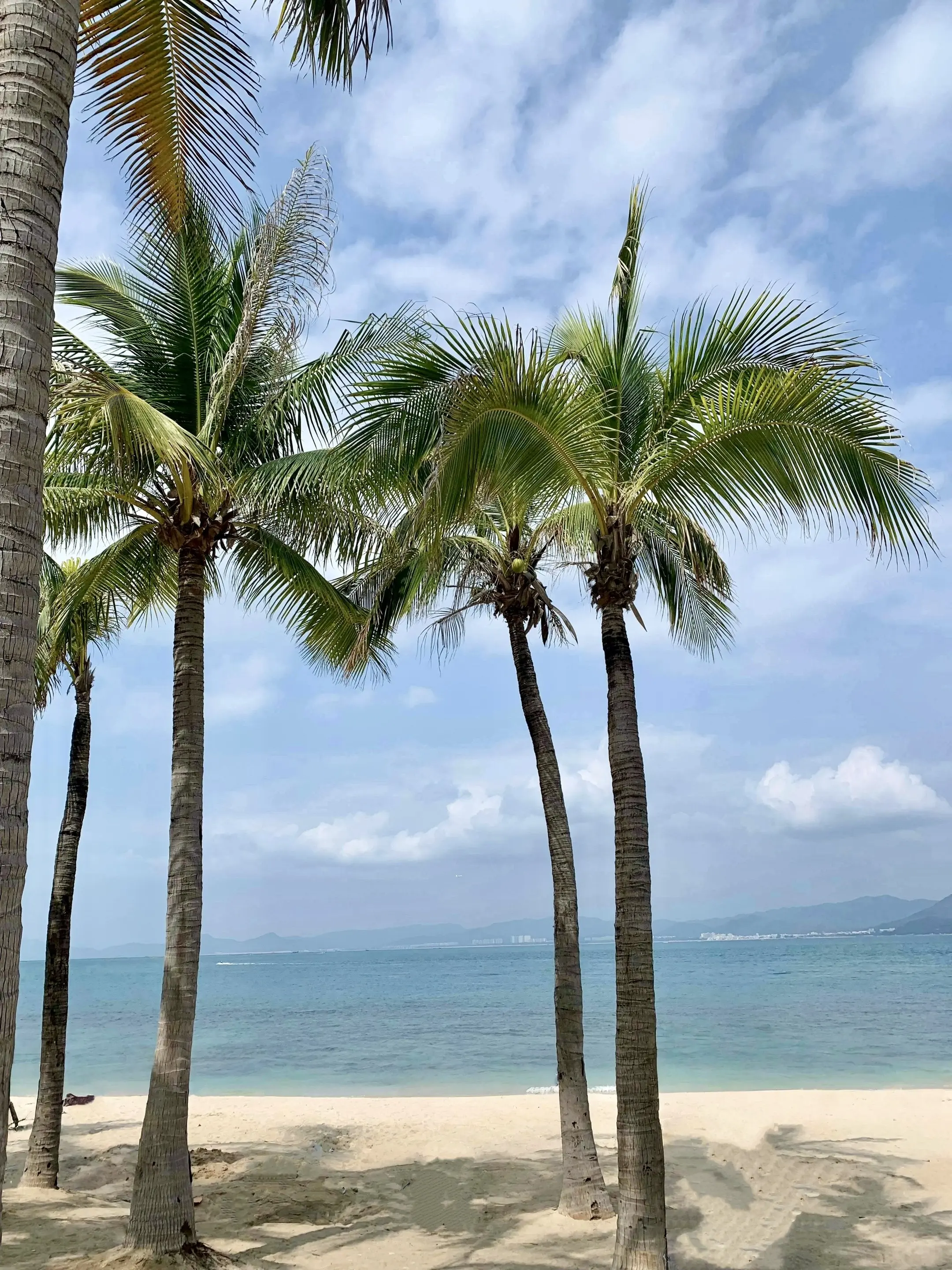 会有不同的人陪你看同样的风景
