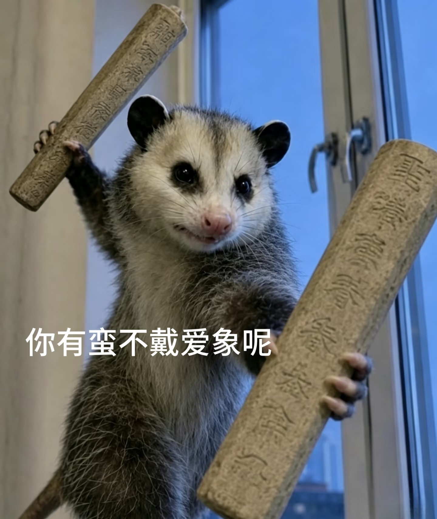 那些黑粉真是