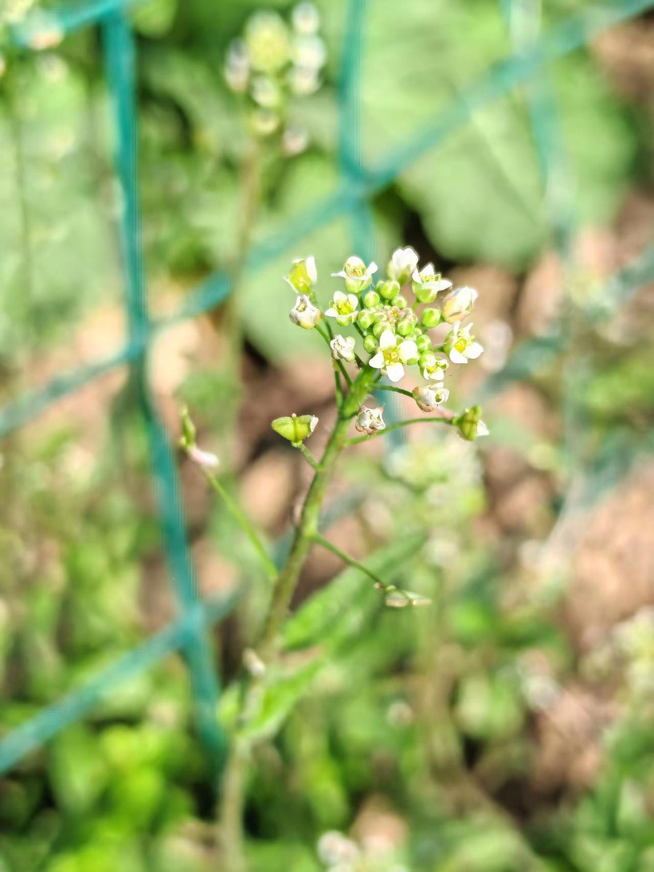 旅行心随景动 旅行换个角度看世界 分享我拍到的绝美 一张图证明你去过的地方 随手