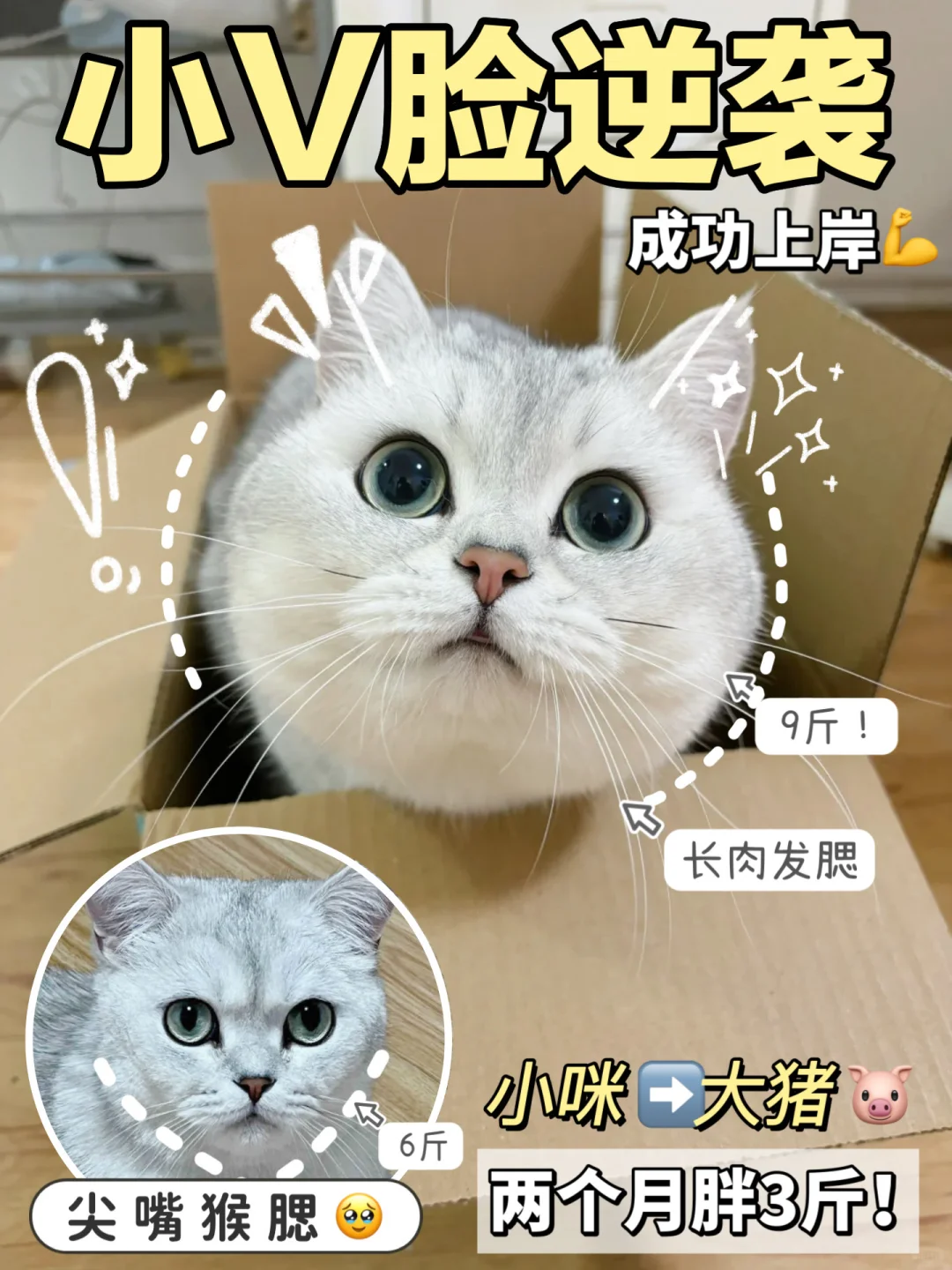 长肉发腮看这篇‼️50天爆改