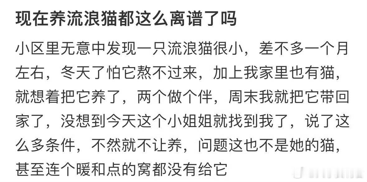 现在养流浪猫都这么离谱了吗？ ​​​