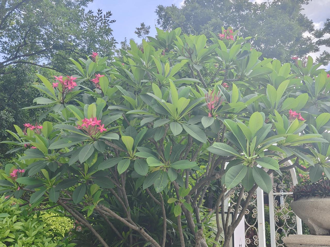 一张图证明你去过的城市这个地方我在这里巳居住了近20年了，虽然我只在这里租房子住