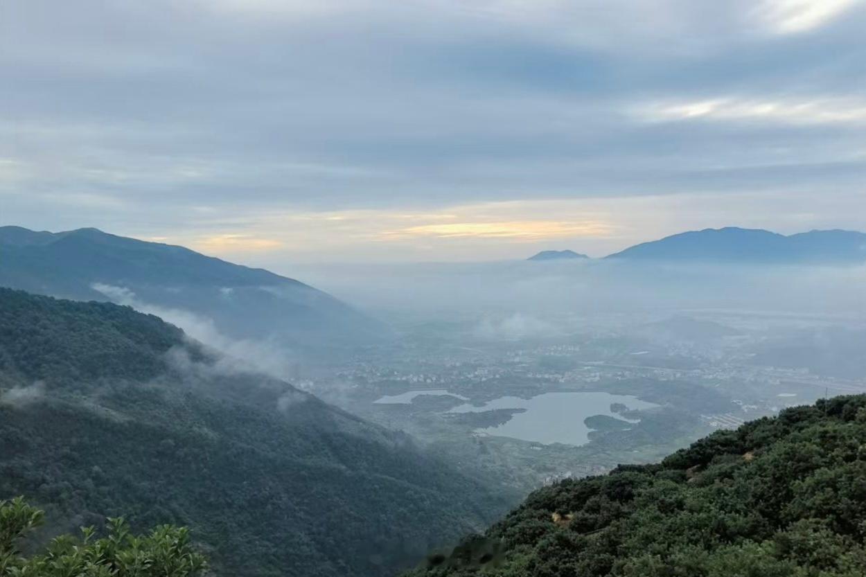 低山⛰️杨梅拜拜了这周的主场是高山杨梅⛰️这条也抽个姐妹送一箱高山小黑炭～周五就