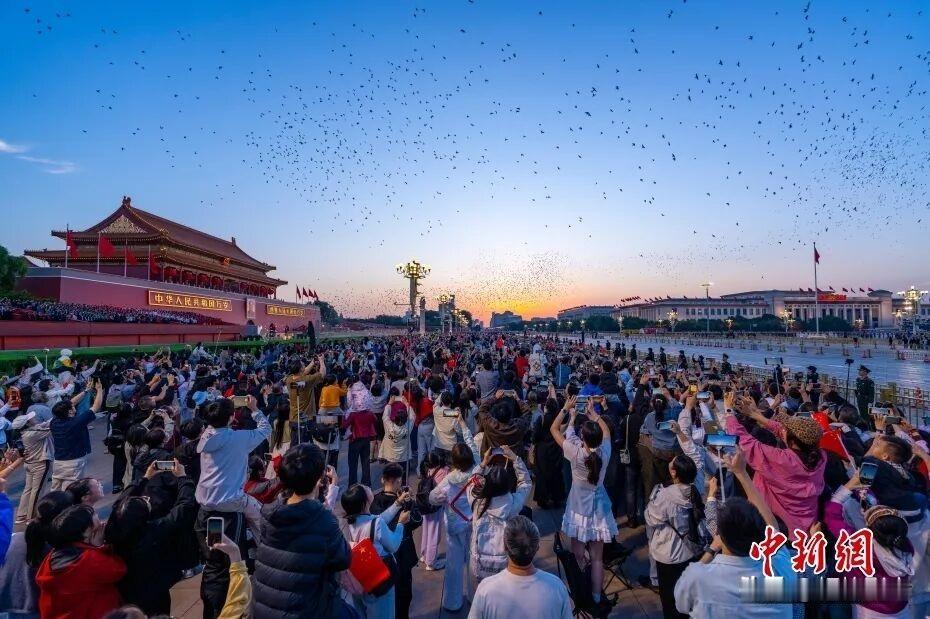 🇨🇳缅怀周总理｜这盛世，如您所愿✨
 
2026年3月5日，我们敬爱的周恩来