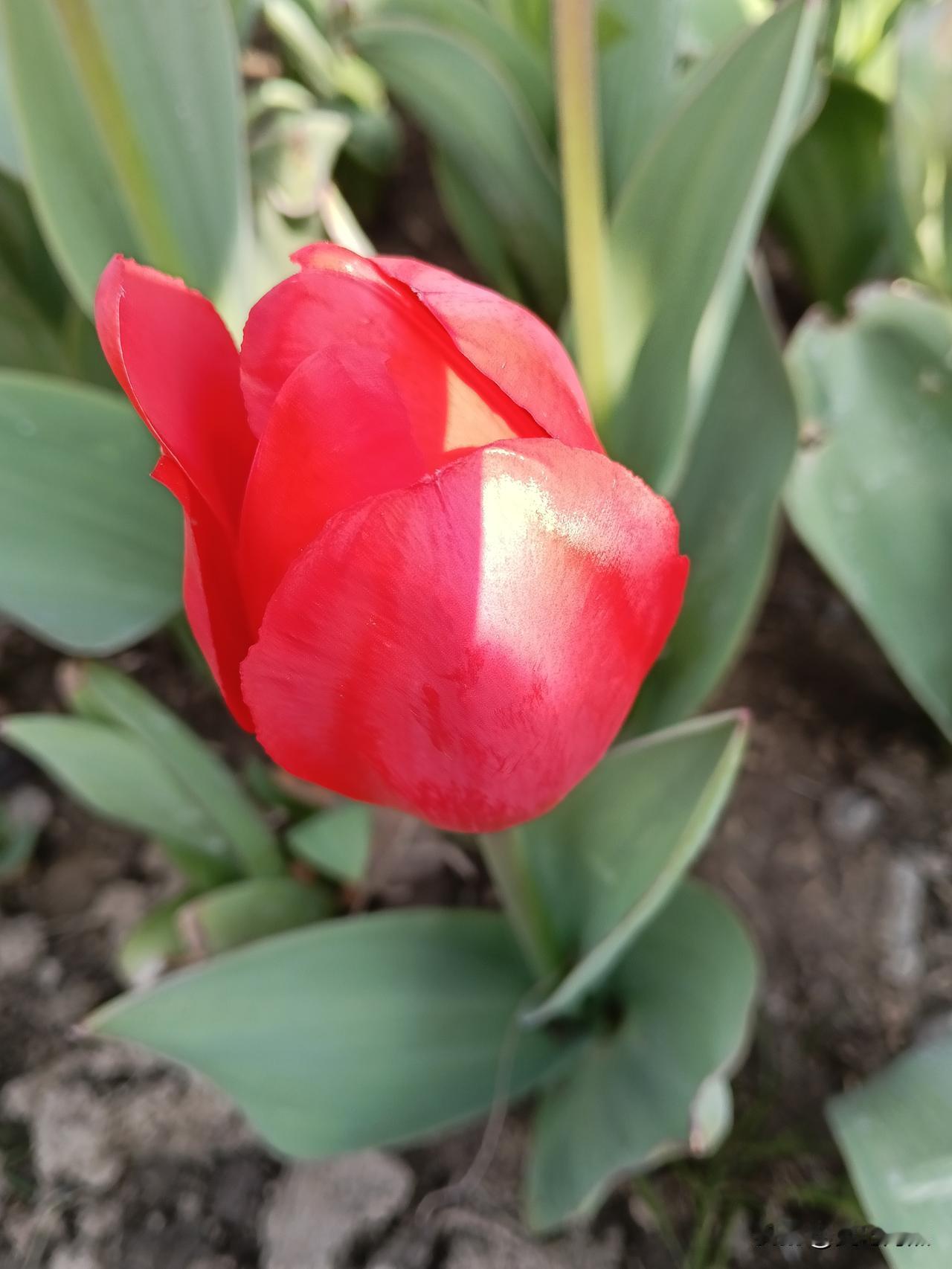 大家有没有发现，有些家庭，明明条件非常好，却过的异常的压抑；

而有些家庭，明明