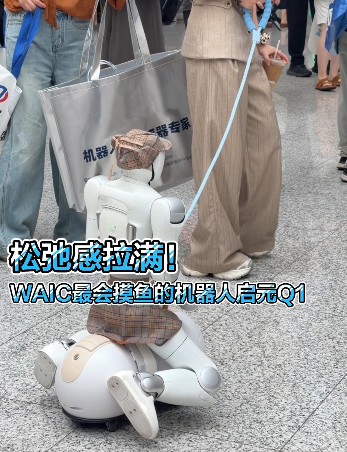 围观人群围得水泄不通，它丝毫不怯场，即兴展示各种小绝活，氛围感直接拉满。 ​​​