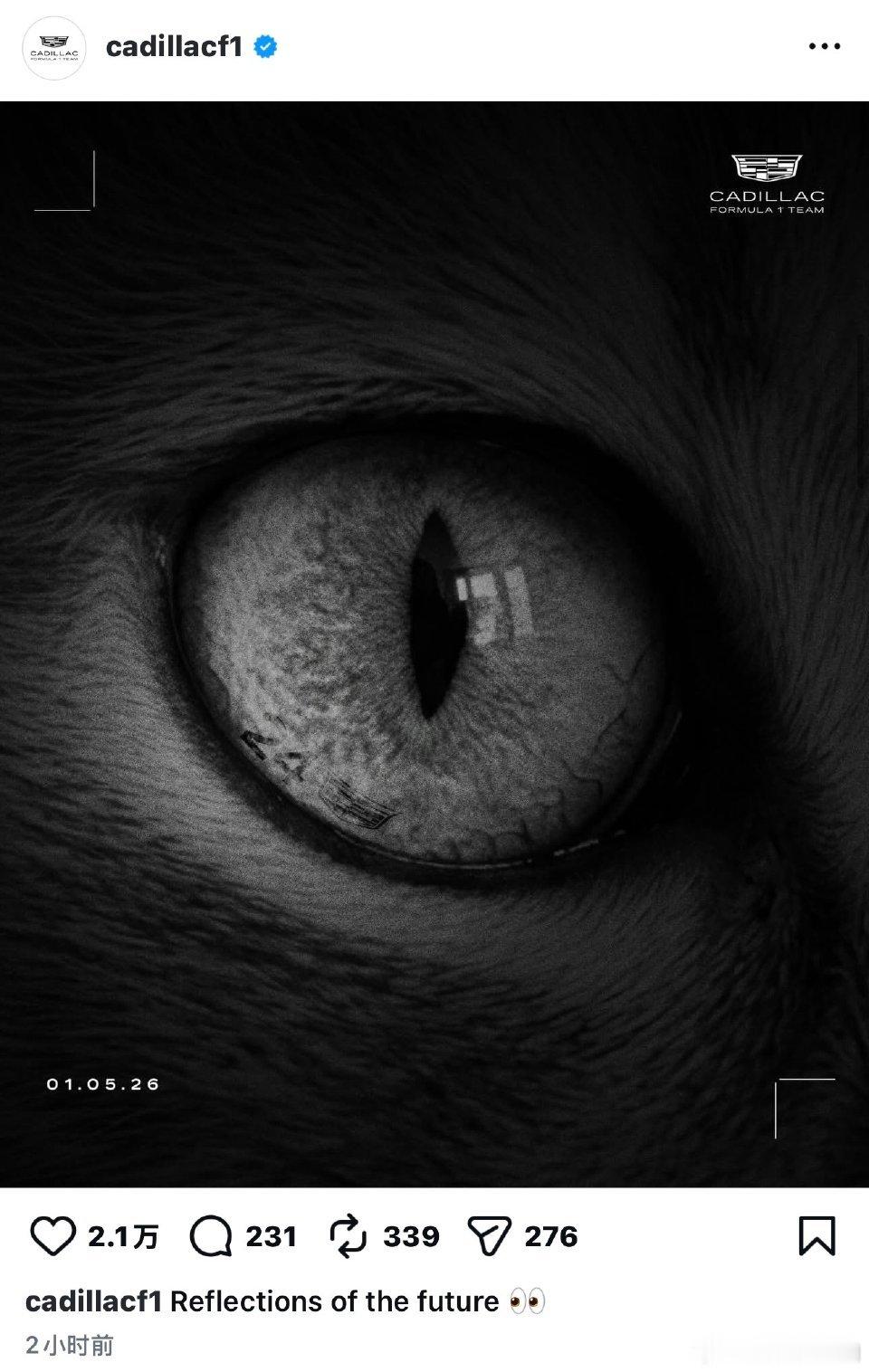 周冠宇 凯迪拉克几乎是明示了，周冠宇将加盟凯迪拉克。猫眼睛（周冠宇经常晒宠物猫玉