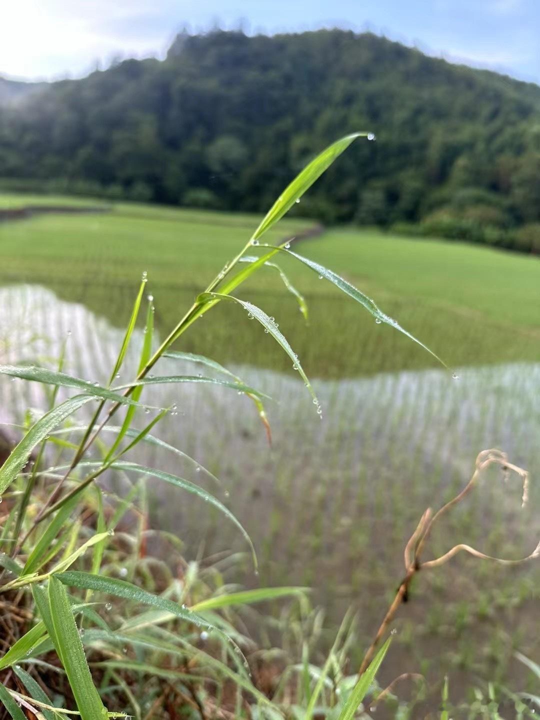 乌龟也来技术分析一下，各大指数呈现日线底背离，周KD拐头蓄势待发，一旦金叉确认向