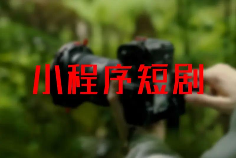 不过，短剧是文化产品，观众要的是情感共鸣和审美体验，这不是靠算法和效率能实现的。