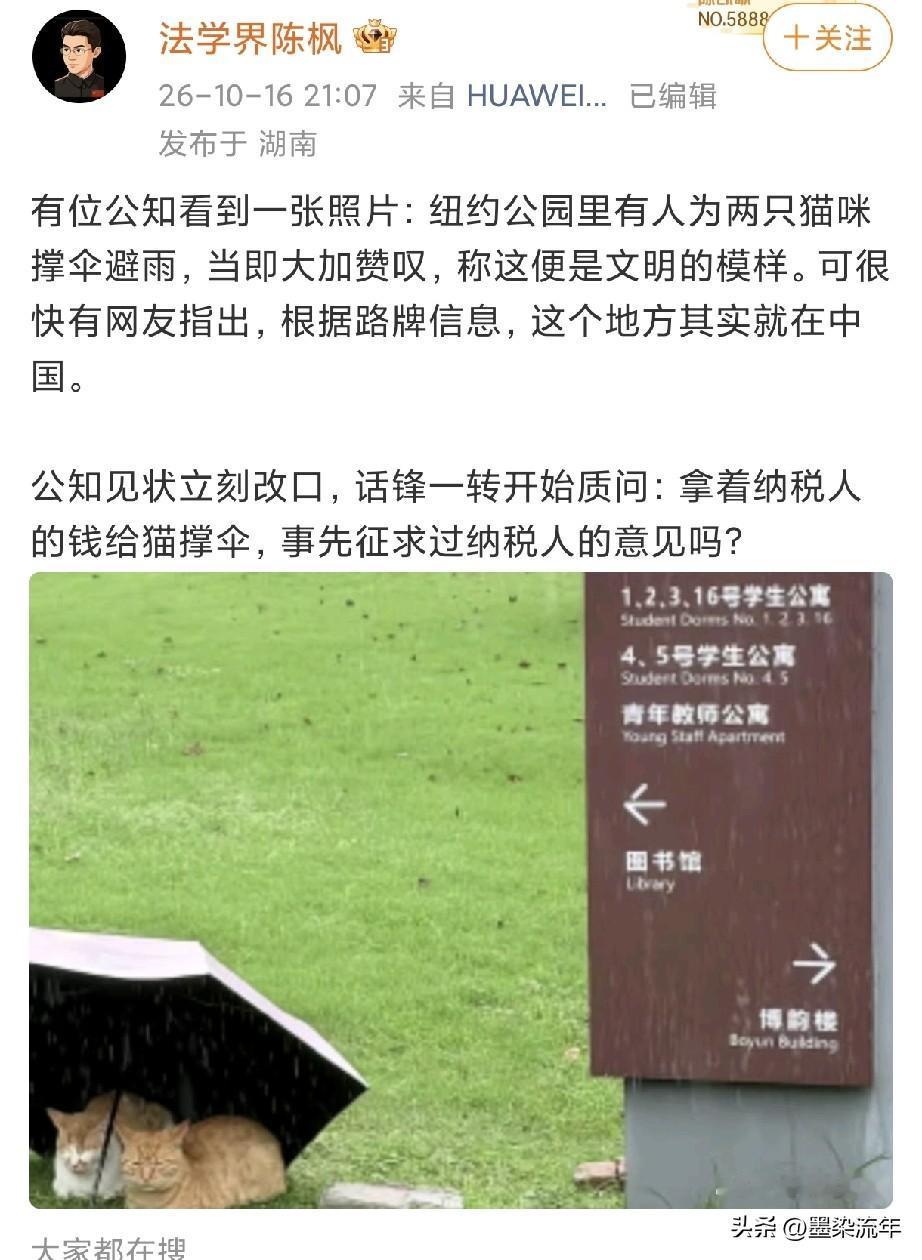 法学界陈枫讲的一个小故事，看完挺有感触。同样一张给猫打伞避雨的照片。公知一开始以