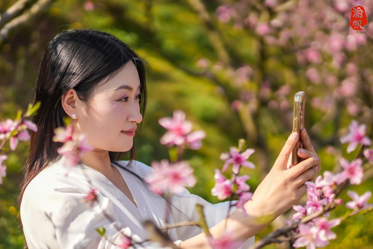 重庆赏花地图：潼南大仑山桃花盛放🌸景美人少，漫山粉霞美到失语！
“桃花浅深处，