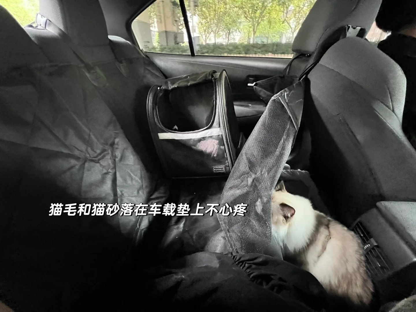 带猫自驾旅行我一定会带的东西