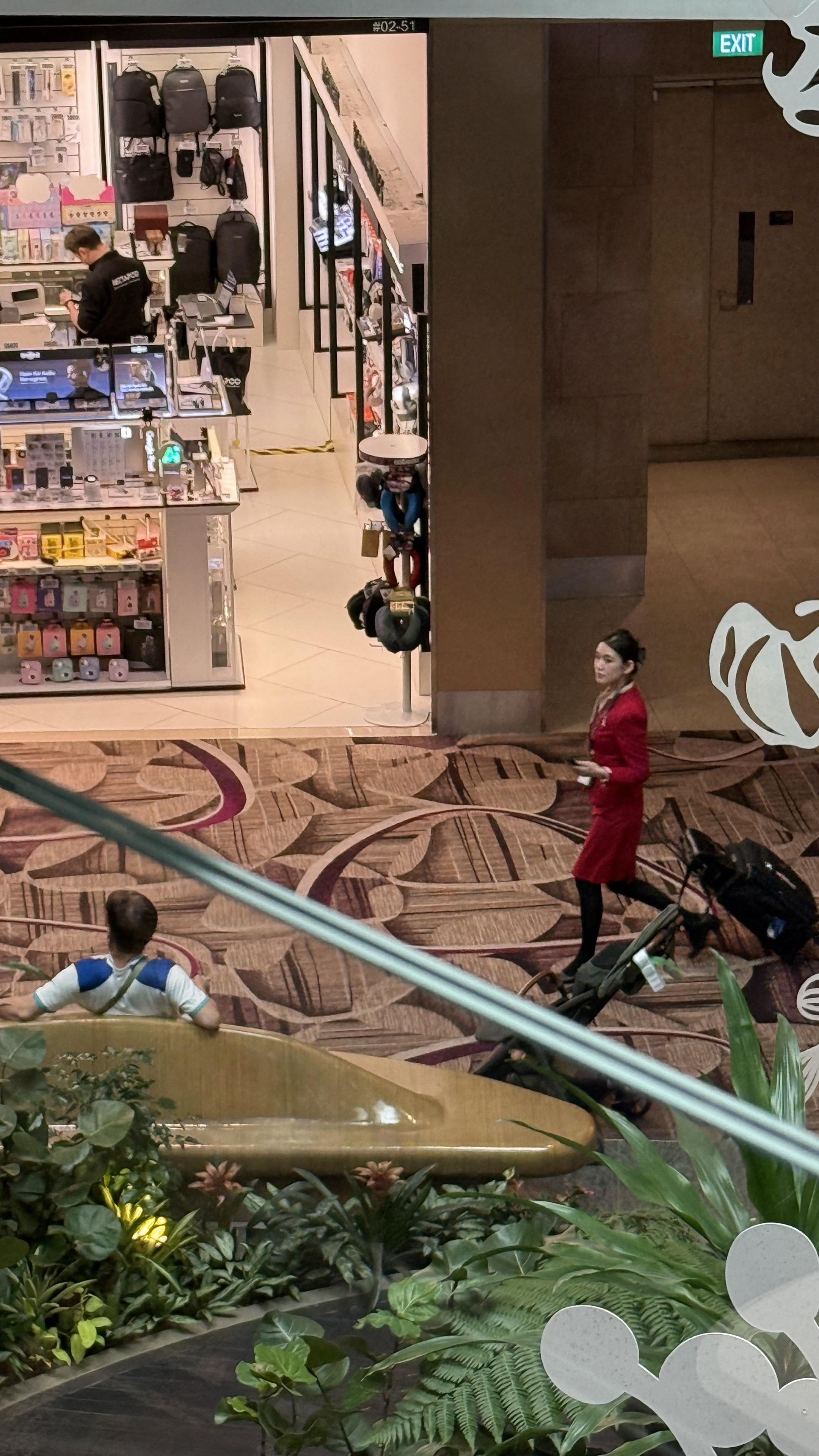 找斑斓糕的路上被拍到了