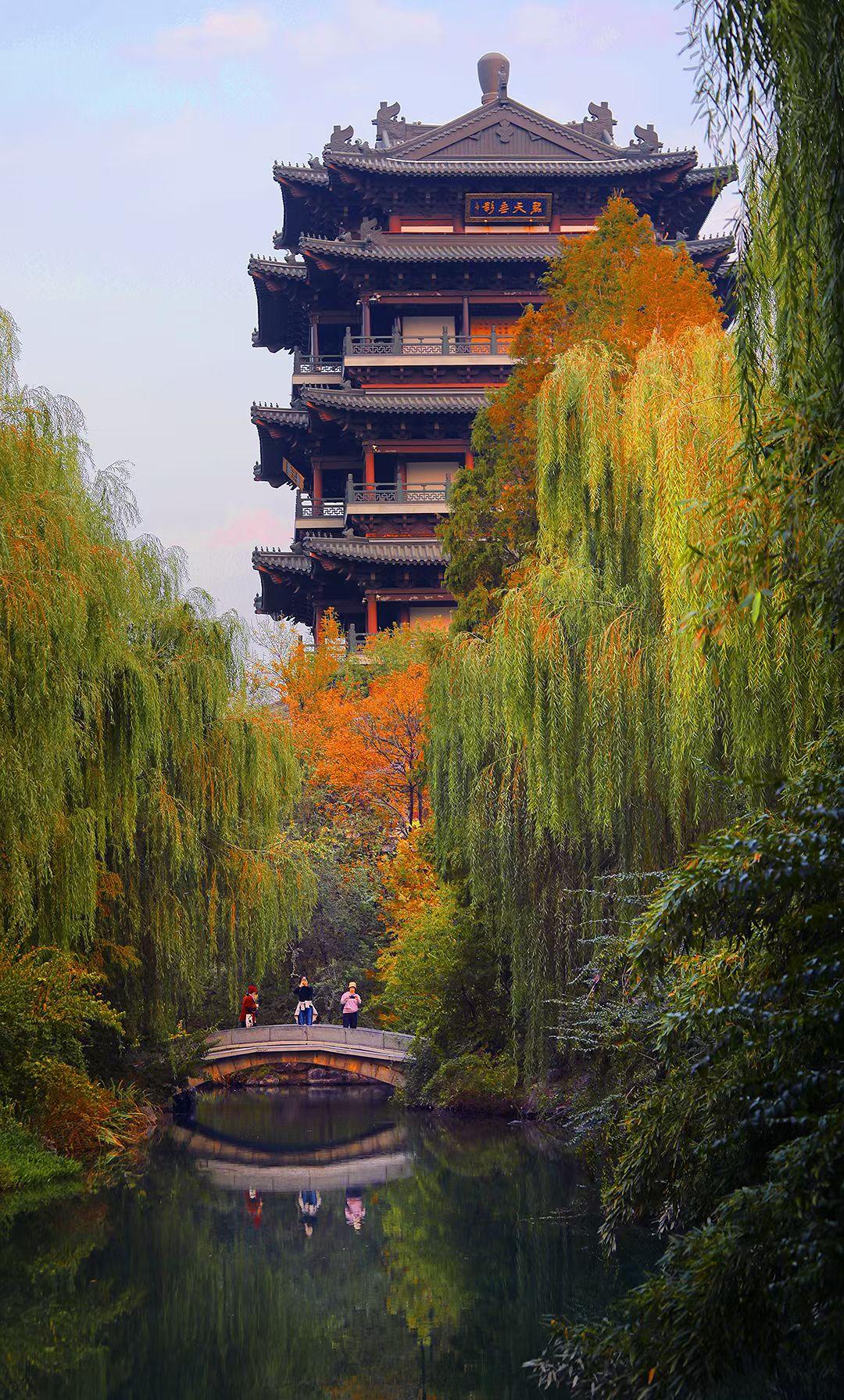 秋深被冷醒来迟，日上三竿才披衣。
​喜鹊楼头声声叫，涑水浮萍无归期。
年少无知常