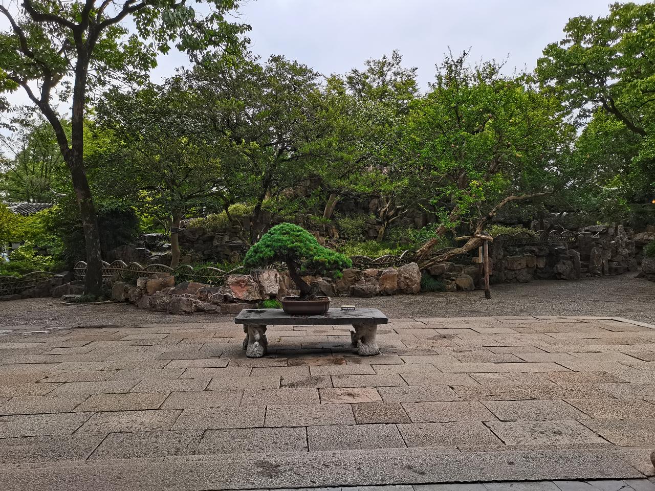 分享一下你随手拍下的照片