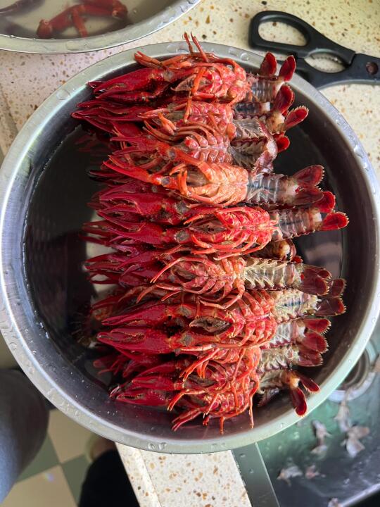 准备好了吗？你的小龙虾已就位