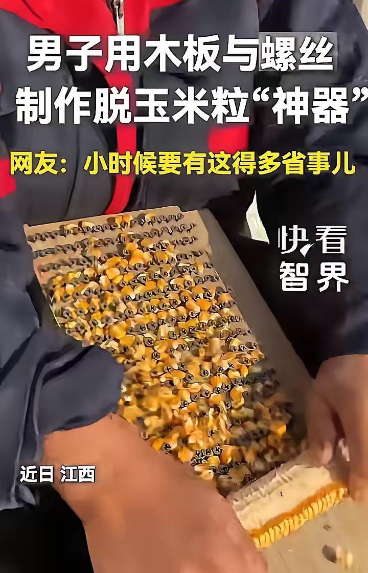 江西，一男子嫌手剥玉米费手又慢，还不想花钱买脱粒机，他灵机一动，就用家里的旧木板