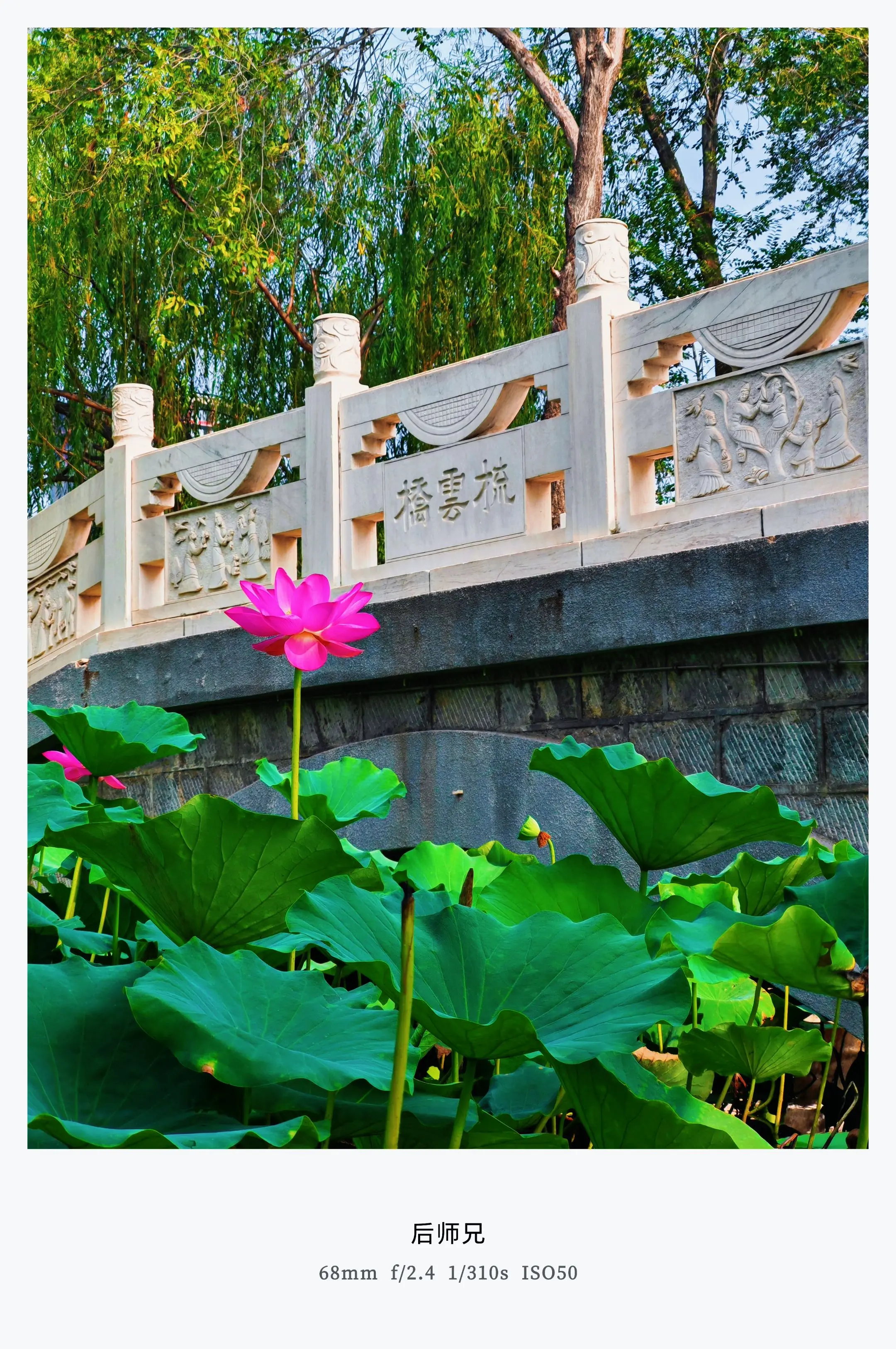 一路走来，再也不是从前的样子，想说的话越来越少，藏在心里的话越来越多。...