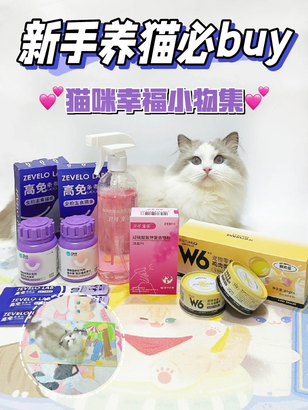 新手养猫必buy💕猫咪幸福小物集