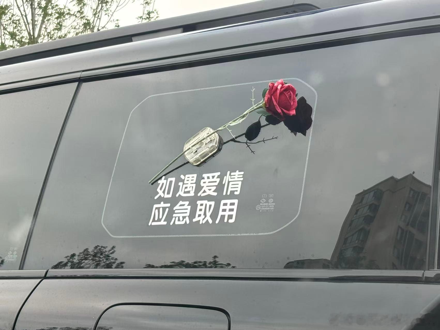 车主藏着一种松弛的爱情观～在奔波枯燥的城市生活里，给自己留一份浪漫预案。