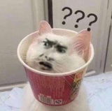 心悦爱品体育