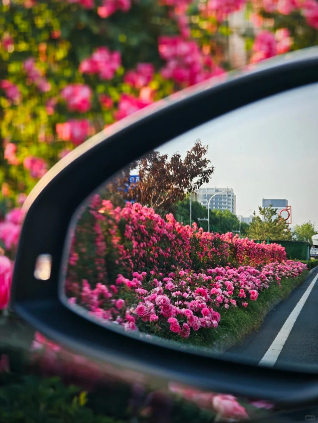 你们知道百万粉丝的博主收益多少吗
我朋友给我看后台的时候
我都惊呆了
她在头条深