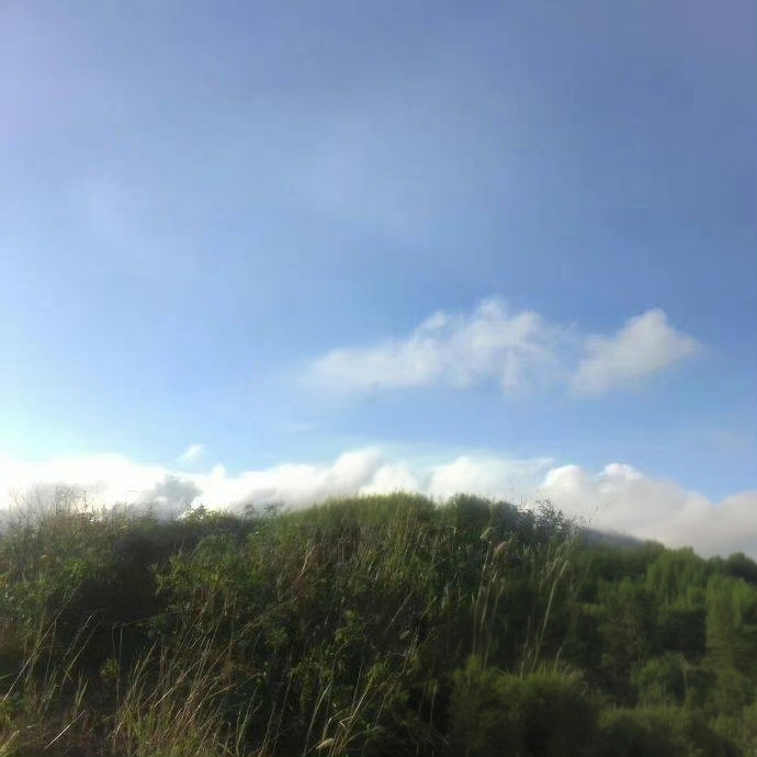 “   大胆走你的路   去你的那座山   去你想去的山顶” ​ ​​​