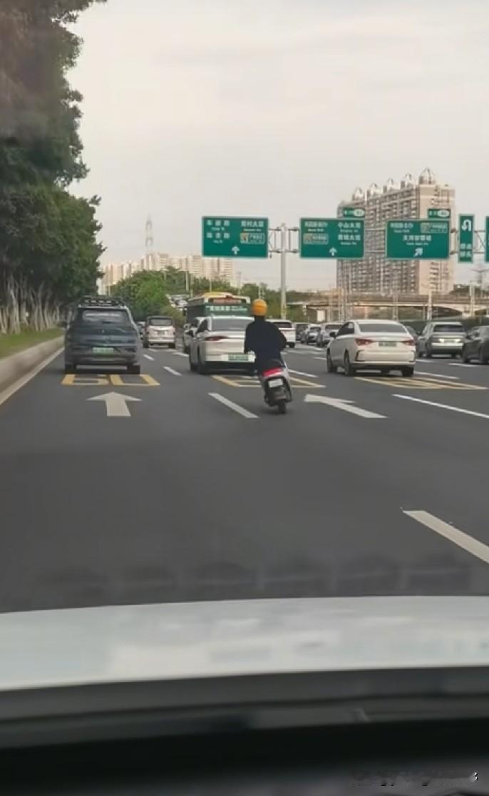 广州的电鸡真的无所不能，也真的是欠收拾。不仅在大街小巷中乱窜，还可以在快速路上晚