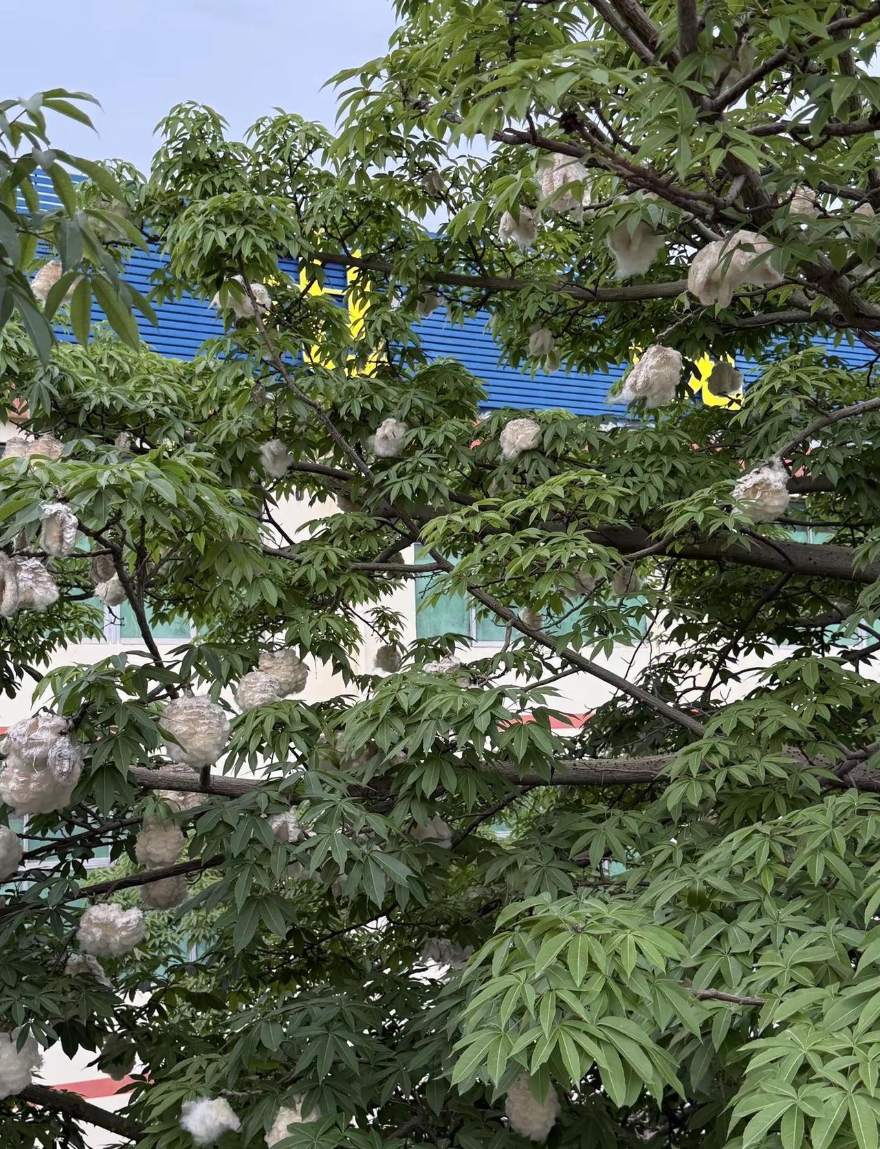 我很喜欢现在的状态，不卷入是非，不揣测人心，日子清淡如水，简单干净，自在心安，饿