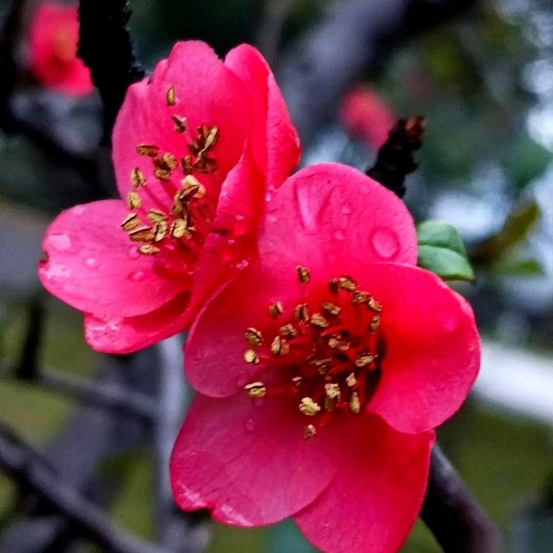 40多岁，活成了一个“精神上的太监”。
别误会，我没病，我好得很。
就是单纯地，