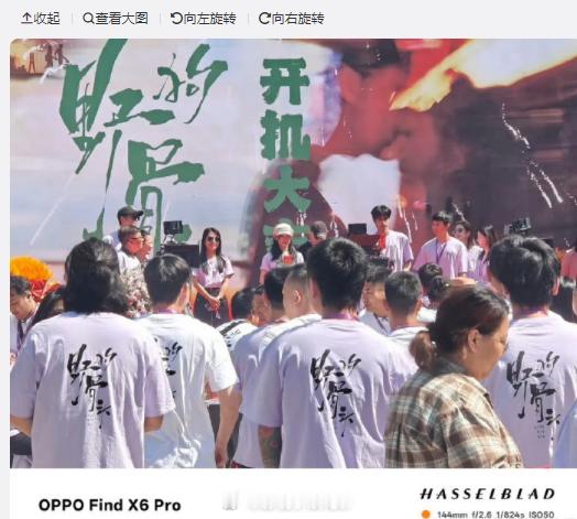 张婧仪的事业迎来高光时刻！《藏海传》定档热度未减，《野狗骨头》就宣布开机，两部作