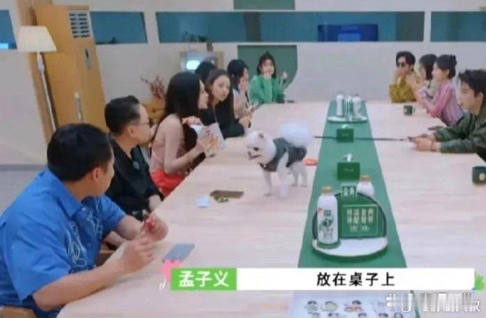 王星越把狗狗放饭桌上，孟子义看到后提醒道：“我建议你不要一直把狗放桌子上，不然到
