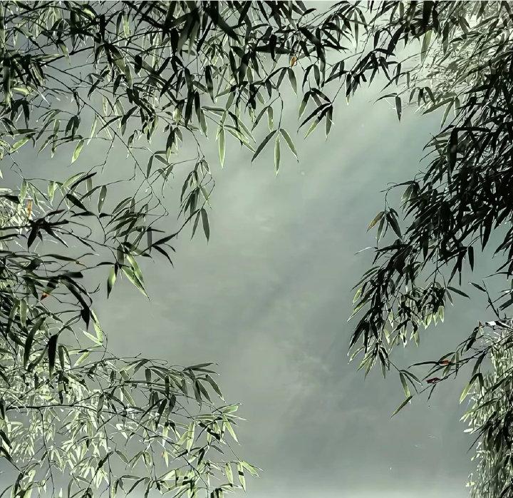 富弼的妻子晏氏，是晏殊的嫡长女。
媒人是范仲淹，当时作为宰相家的嫡女嫁给尚处寒微